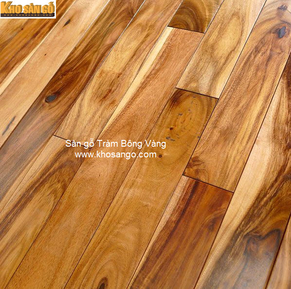 sàn gỗ tràm bông vàng